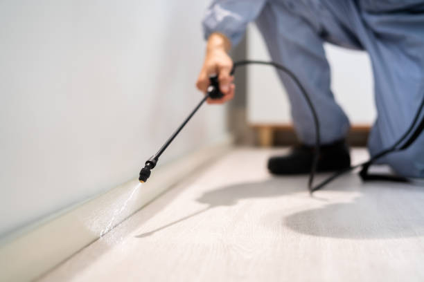 Certified termite inspector examining foundation in Los Alamos