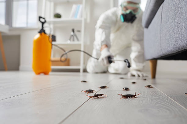 Commercial Kitchen Cockroach Control in Los Alamos